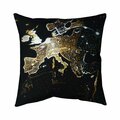Begin Home Decor 20 x 20 in. European Continent-Double Sided Print Indoor Pillow 5541-2020-EA10